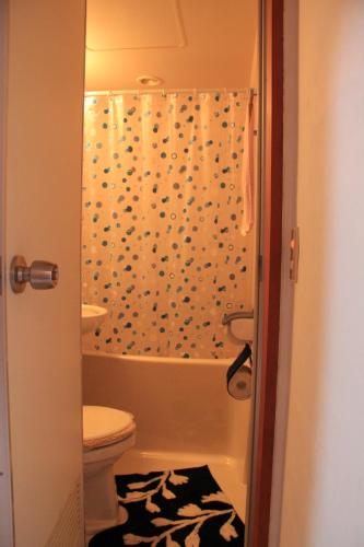 白馬村にあるWinterfell Hakubaのバスルーム(シャワーカーテン、トイレ付)