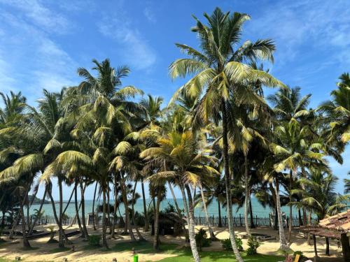 a group of palm trees on the beach at CocoVilla Boutique Resort in Beruwala