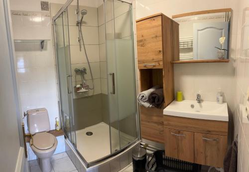 a bathroom with a shower and a toilet and a sink at Studio en baie de Somme in Villers-sur-Authie