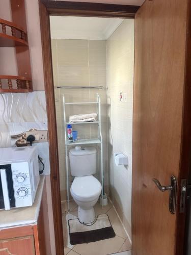 a small bathroom with a toilet and a sink at Brighton court in Jomo Kenyatta Airport Nairobi