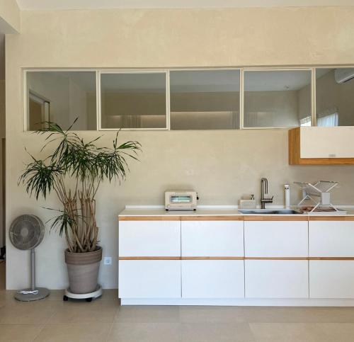a kitchen with white cabinets and a potted plant at 몽중정원 in Sinhŭng i-ri