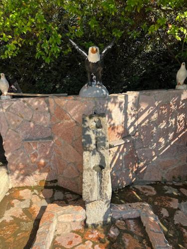 two birds sitting on top of a stone wall at Caco Camper Parking in Berat