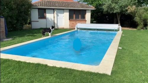 Bazen u ili blizu objekta Cottage Blagnac