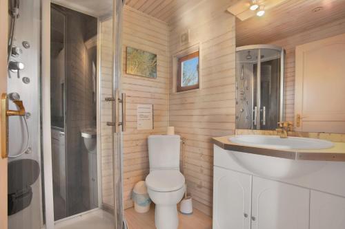 a bathroom with a toilet and a sink and a shower at Chalet 2 FLAMANT ROSE in Roquebrune-sur-Argens