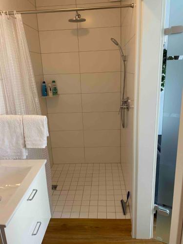 a bathroom with a shower and a sink at Apartment in der Eifel in Blankenheim