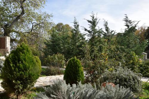 a garden with trees and bushes at Trikalon Muses Art Suites in Synikia Mesi Trikalon