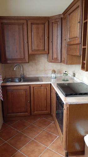 a kitchen with wooden cabinets and a sink at Casabei in Monticiano