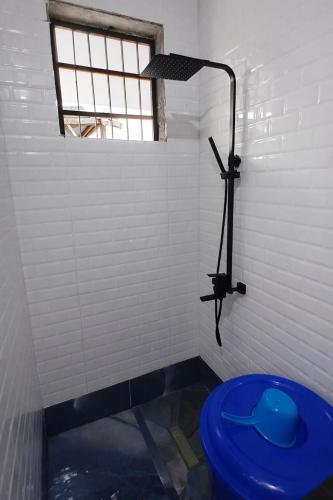 a bathroom with a blue toilet and a shower at Canelle appart tout équipé et lumineux in Dzaoudzi