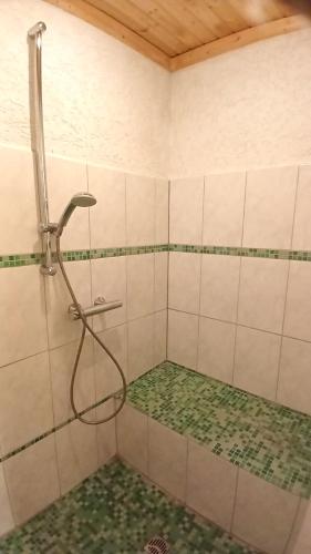 a shower with a hose in a bathroom at Ferienhaus Oppeln 21 in Wingst