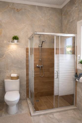 a bathroom with a shower with a toilet and a glass shower stall at garden home in Gaios