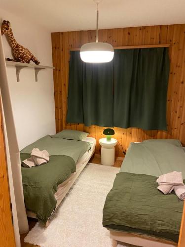 Appartement 2 pièces avec vue - à 2 pas des pistes