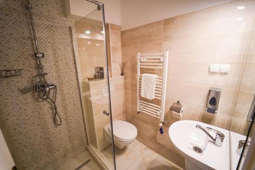 ein Badezimmer mit Dusche, Toilette und Waschbecken in der Unterkunft Urusossziklakert in Dealu