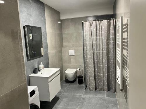 a bathroom with a sink and a toilet and a shower at Union Apartment in Ferizaj