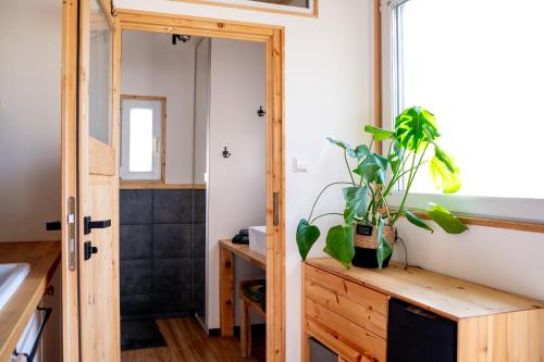 a room with a wooden door and a table with a plant at Modernes Tiny Haus in Berlin Spandau in Berlin