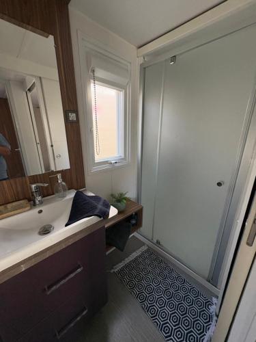 a bathroom with a shower and a sink at Nadege in Lège-Cap-Ferret