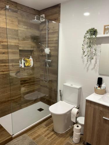 a bathroom with a shower with a toilet and a sink at Casa das Oliveirinhas in Alvor