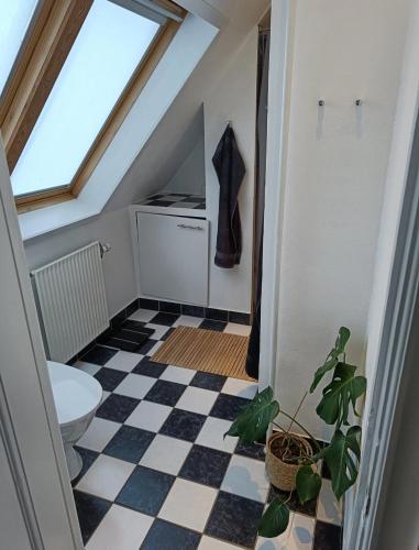 a bathroom with a toilet and a checkered floor at Skøn rolig villa in Dianalund