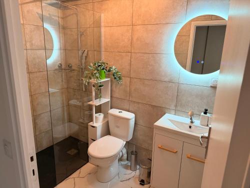 a bathroom with a toilet and a sink and a mirror at Studio neuf élégant- calme & cosy in Oyonnax