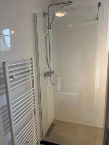 a shower with a glass door in a bathroom at Vakantiewoning 'Eysinga State' in Sint Nicolaasga