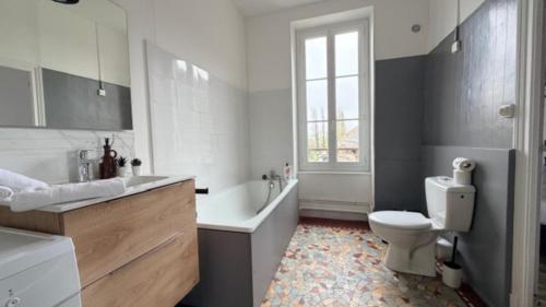 a bathroom with a tub and a toilet and a sink at Escapade sur la Loire in Nevers
