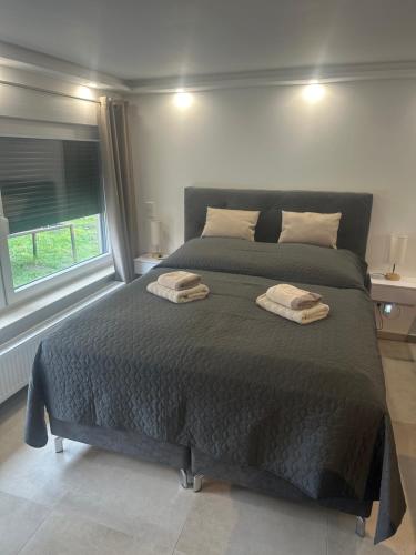 a bedroom with a large bed with two towels on it at LaTerrazzaA1 in Hamm