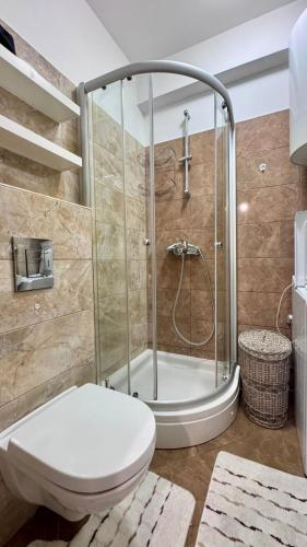 a bathroom with a shower and a toilet at Sea view apartment 2 in Boreti