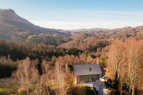 a house in the middle of a valley with trees at Villa Diona in Loka pri Žusmu
