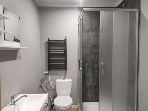 a bathroom with a shower and a toilet and a sink at Duży dom w lesie in Zatory