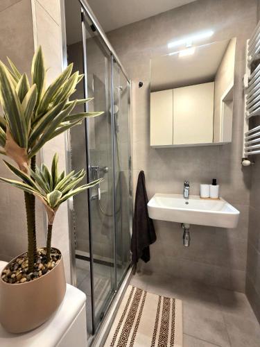 a bathroom with a shower and a sink and a potted plant at Apartmán Bratislava Ružinov in Nivy