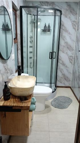 a bathroom with a sink and a shower and a toilet at El Estuario Niebla Cabin in Niebla