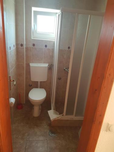 a small bathroom with a toilet and a shower at Vila Stanisic in Čanj