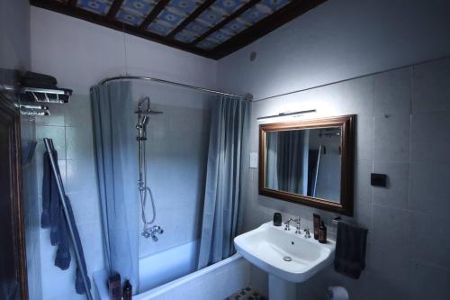 ein Badezimmer mit Waschbecken, Dusche und Spiegel in der Unterkunft Sonic Alchemy Studio BnB in Castel Focognano