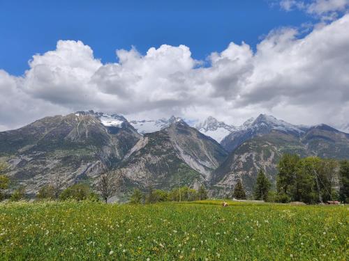 Eine grüne Wiese mit Bergen im Hintergrund in der Unterkunft Apartment Panorama in Eischoll