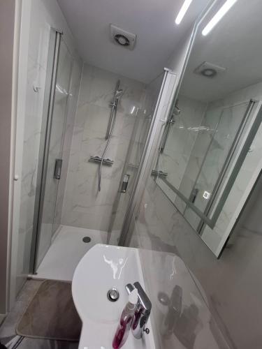 a bathroom with a shower and a toilet and a sink at Zum Rosengarten in Rambin