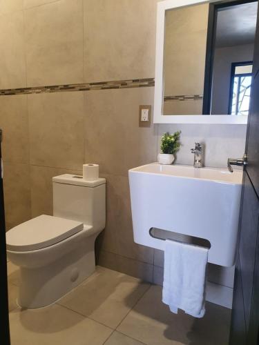 a bathroom with a toilet and a sink and a mirror at Hotel y Motel Elegantia in Tetelco