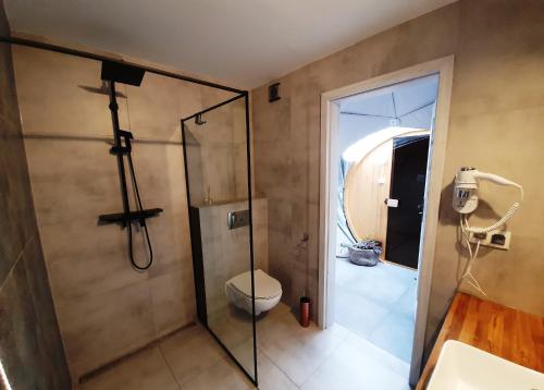 a bathroom with a shower and a toilet at Glamping Podniebny in Borsk