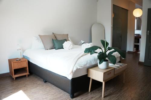 a bedroom with a large bed with a potted plant at Entire house perfect for group trips and families in Cape Town in Cape Town
