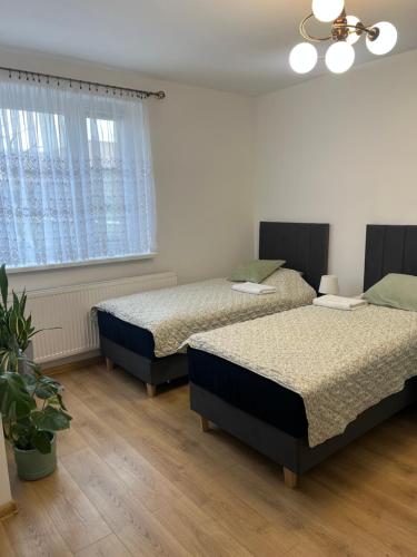 a bedroom with two beds and a window at Studio pod Orzechem in Zbąszyń