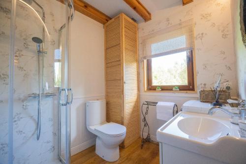 a bathroom with a toilet and a sink and a shower at Dom wakacyjny w kratkę & spa in Białogóra