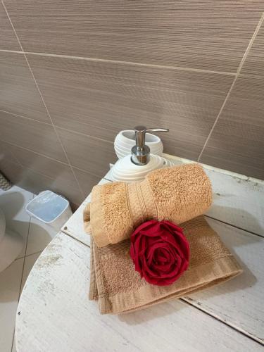a bathroom sink with a teddy bear and a red rose at B&B Le Villette Las Lajas in Las Lajas