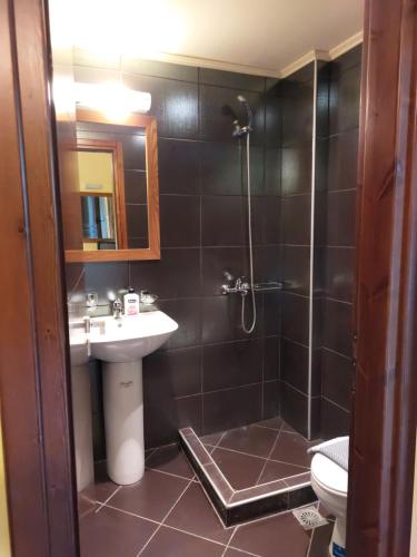 a bathroom with a shower and a sink and a toilet at Elafonisos Rooms in Kefálion