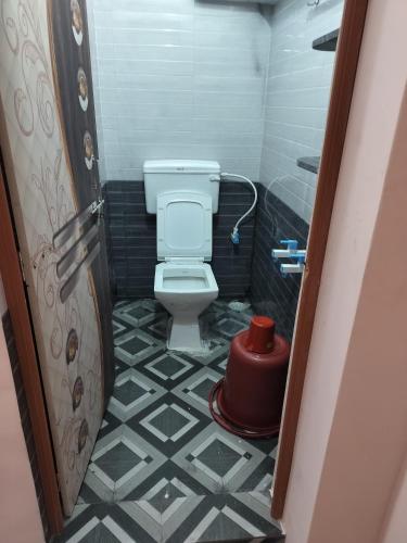a small bathroom with a toilet and a pot at Swarna Lodge in Badami
