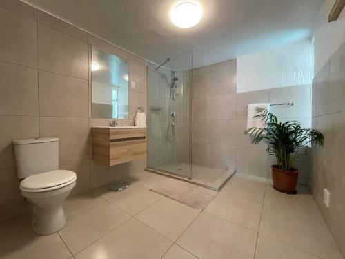 a bathroom with a shower and a toilet and a sink at The Wild Side in Sandton