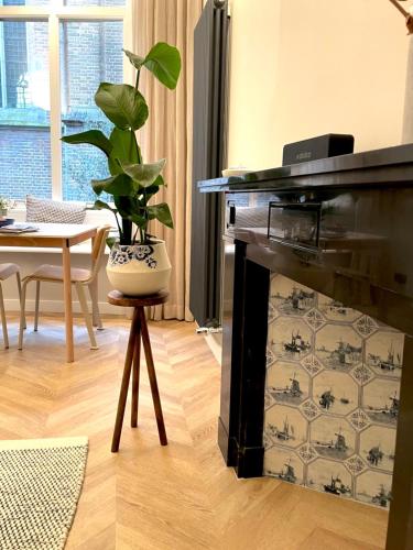 a living room with a black fireplace with a potted plant at Bij de Kerk in Doesburg
