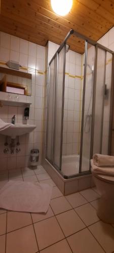 a bathroom with a shower and a toilet at Bergbauern Wirtshaus in Kötschach