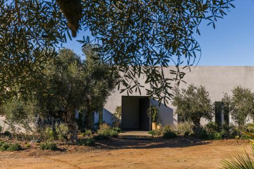 a building with a door in a yard with trees at Casa Torrenueva - Luxury Country House in Lebrija