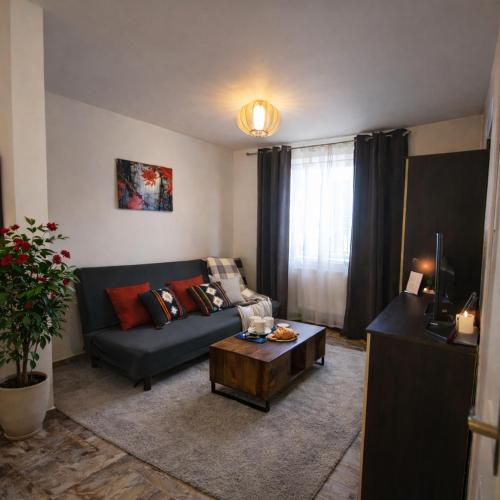 Giedres Kalnieciu Apartamentai 1 netoli Kauno klinikų