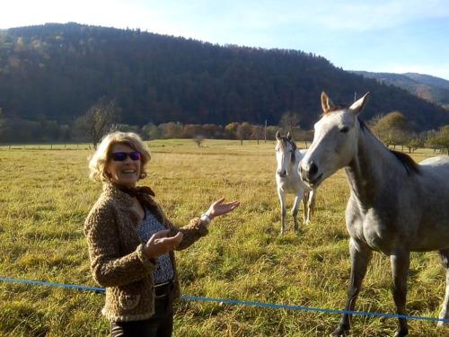 a woman standing in a field with two horses at Les Arts Verts in Kruth