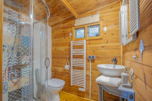 a bathroom with a toilet and a sink and a shower at Leśniczówka Białogóra & jacuzzi in Białogóra