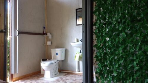a bathroom with a green wall with a toilet at Árbol de mayo in Guápiles